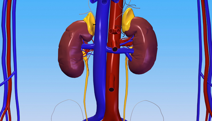 Renal Biomarker Market