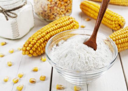 Starch Derivatives Market