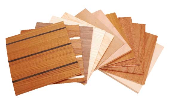 USA and Canada Teak Veneer Sheet Market 