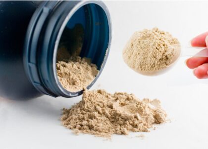 Creatine Supplement Market