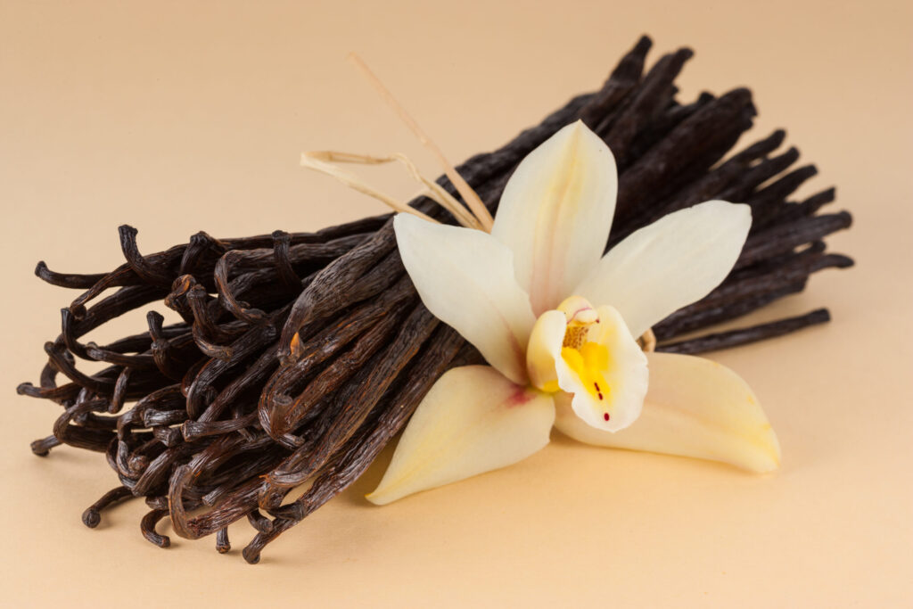 Vanilla Bean Market