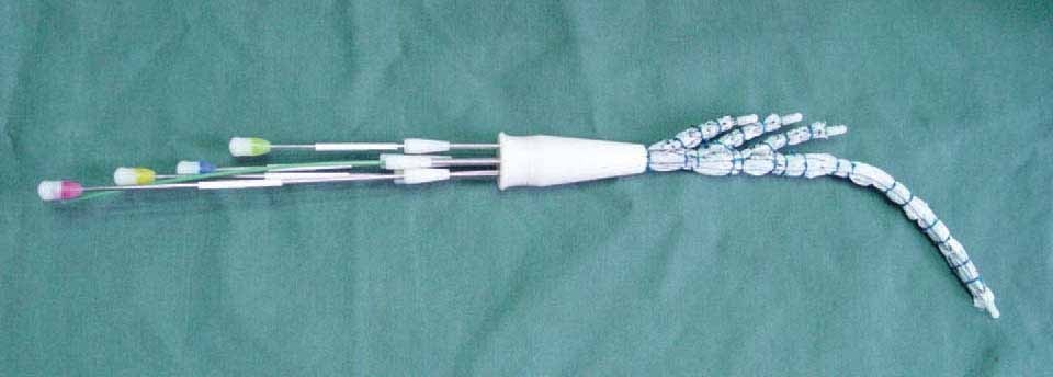 Branched Stent Graft Market