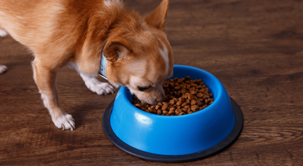 Dehydrated Pet Food Market
