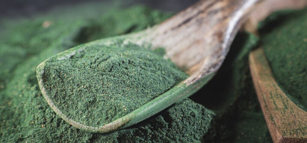 Demand for Microalgae in Fertilizers