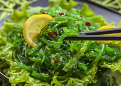 Edible Seaweed Market1