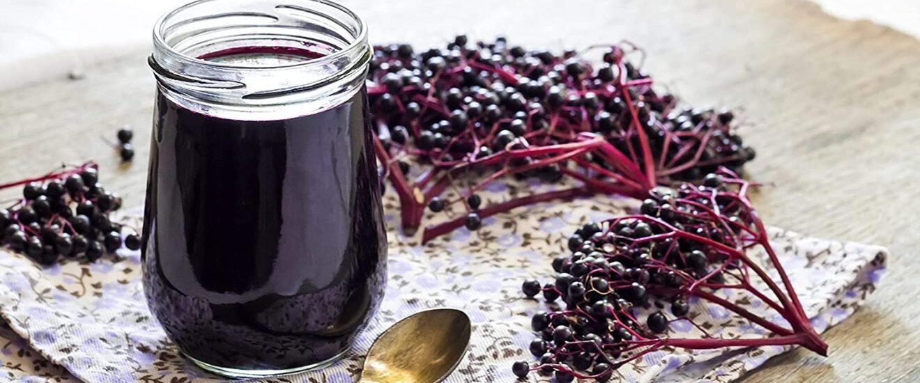 Elderberry Supplements Market1