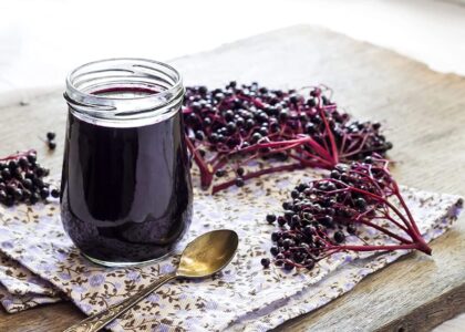 Elderberry Supplements Market1