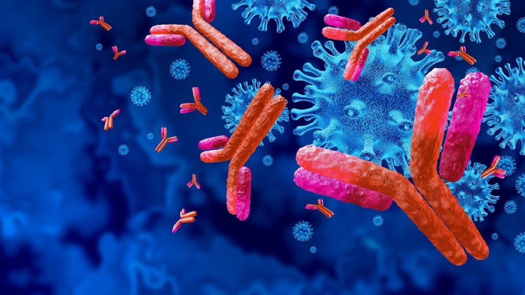 Antibody Discovery Market