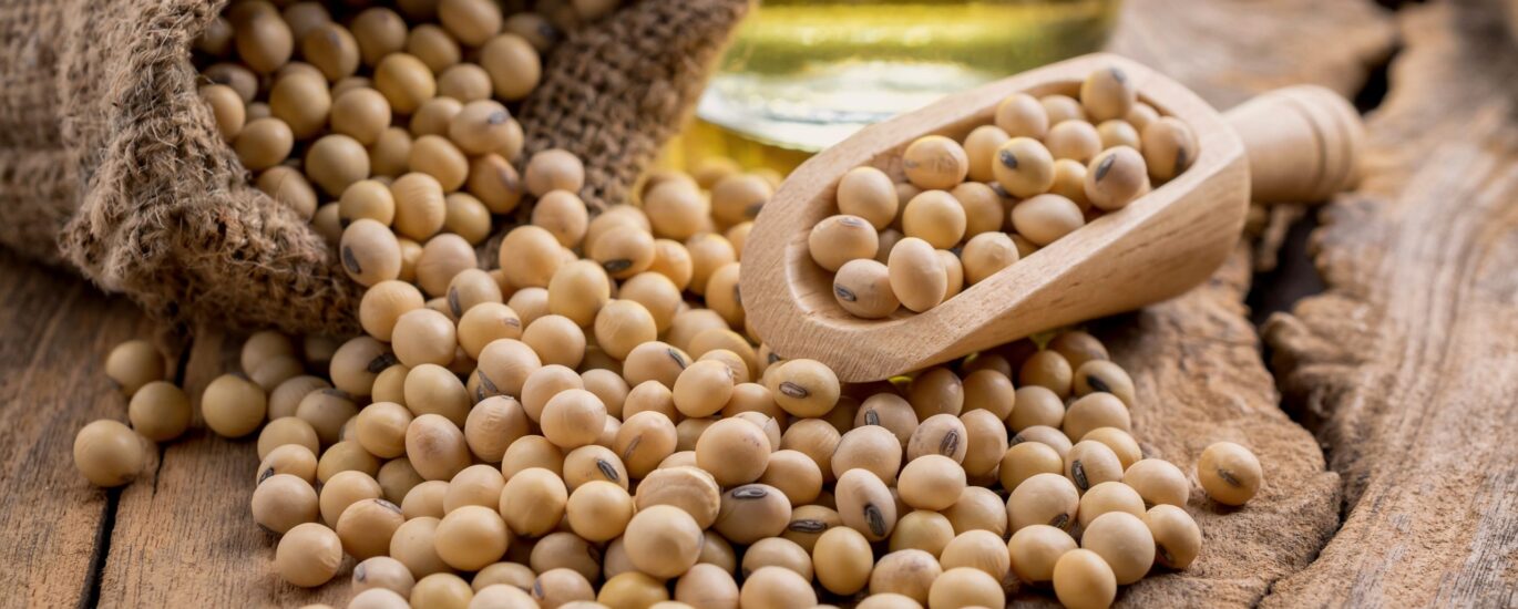 Glycine Soja Seed Extract Market