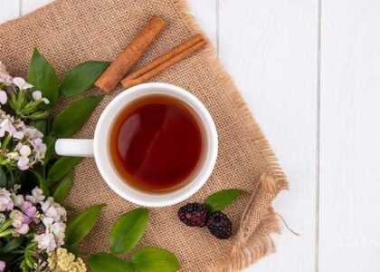 Plant Based Collagen Market