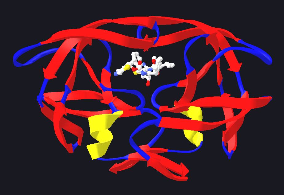 Protease Market