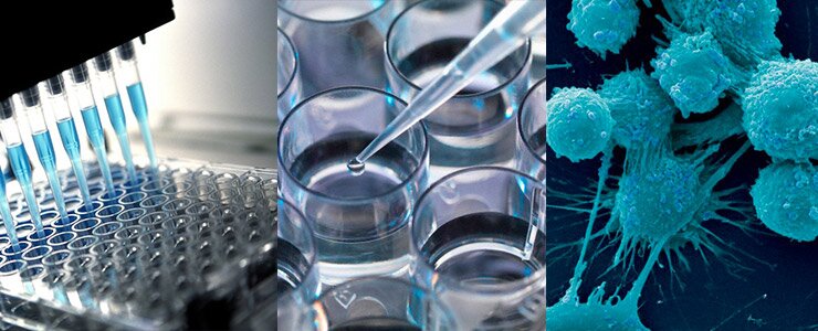 Toxicology Drug Screening Market