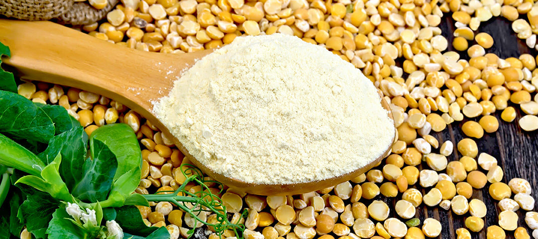 Yellow Pea Protein Market