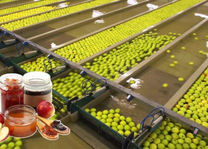 Agriculture Packaging Market