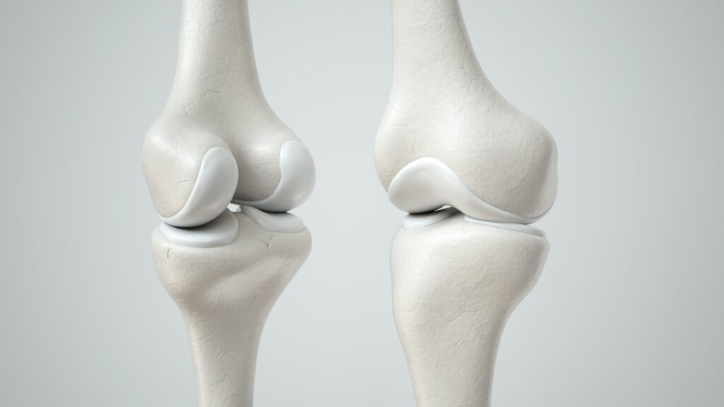 Cell-Free Cartilage Repair Market