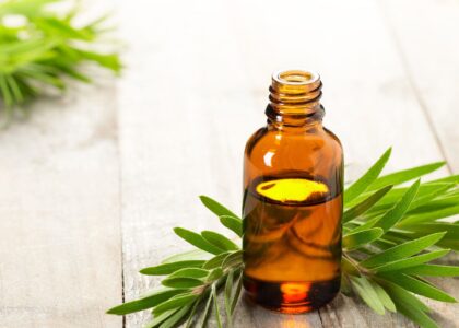 Melaleuca Alternifolia Market1