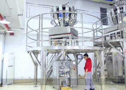 Multihead Weighers Market