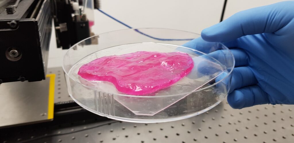 3D Cell Culture Market