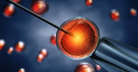 Donor Egg IVF (In-Vitro Fertilization) Market