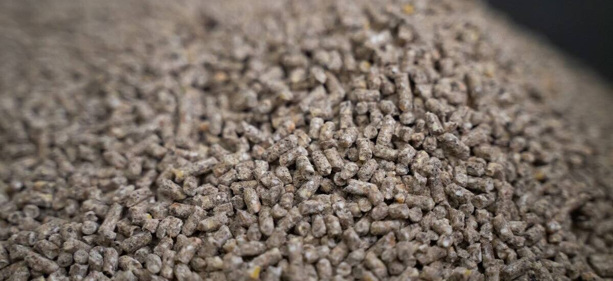 Microbial Feed Additives Market.jpg