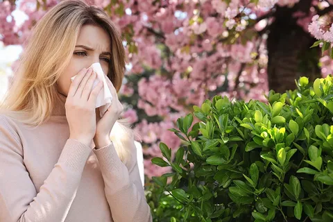 Global Birch Allergy Treatment Market