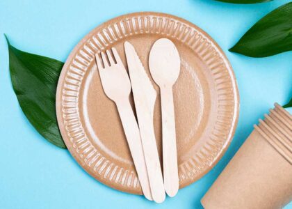 Disposable Cutlery Market