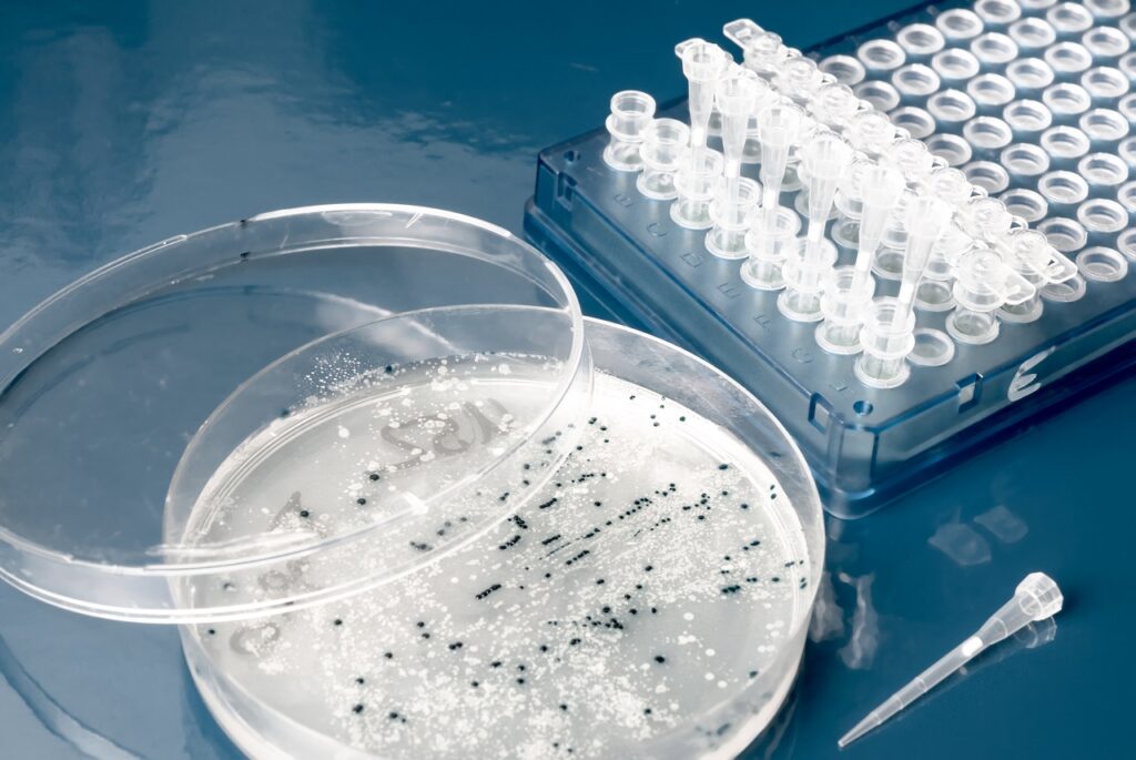 Mycoplasma Plate Antigens Market
