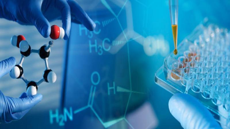 Drug Discovery Outsourcing Industry