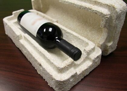 Mycelium Packaging Market