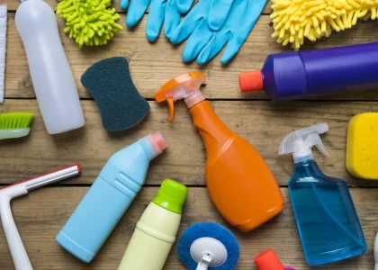 Cleaning and Hygiene Product Market
