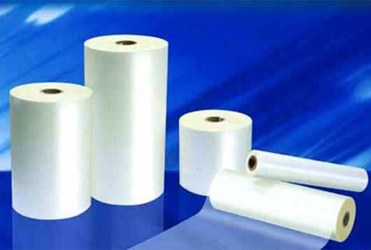 EVA Coated Film Market