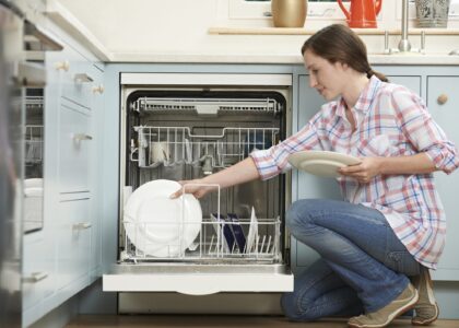 Residential Dishwasher Market