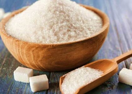 Sugar-Based Excipients Market