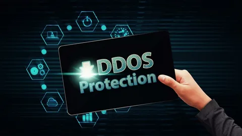 Managed DDoS Protection Market