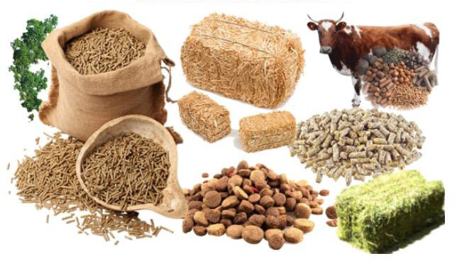 Animal Feed Minerals Market