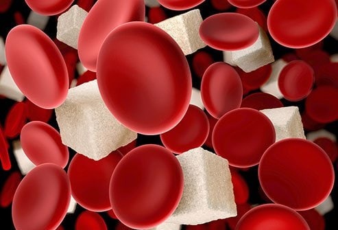 Blood Meal industry