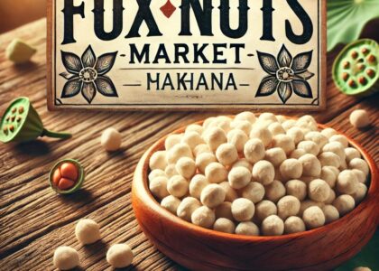 Fox Nuts Market