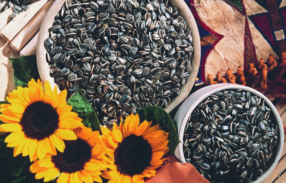 Packaged Sunflower Seeds Market