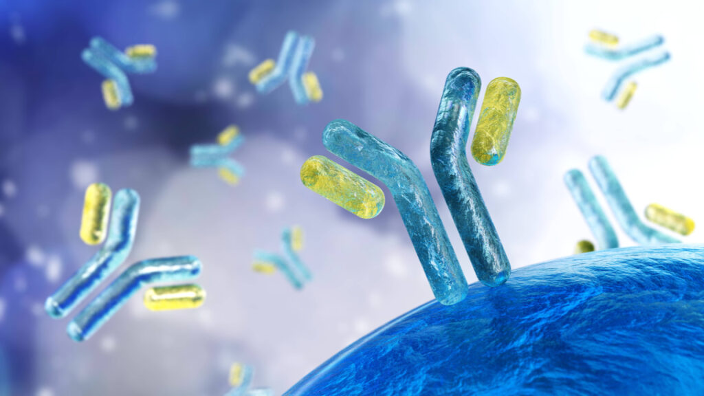 Research Antibodies Market