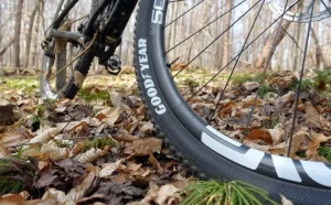 Bicycle Tire Market
