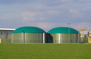 Biogas Market
