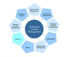 Enterprise Feedback Management Market