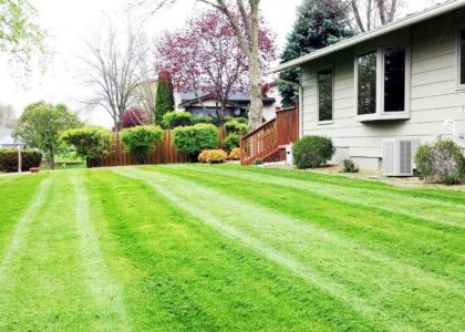 Landscaping Services Market