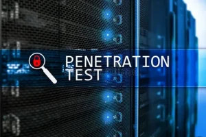 Penetration Testing Market
