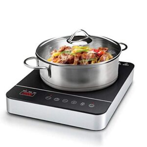 Portable Induction Hobs Market