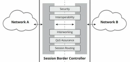 Session Border Controllers Market