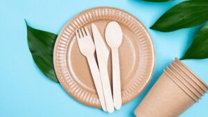 Bagasse Disposable Cutlery Market Share Analysis