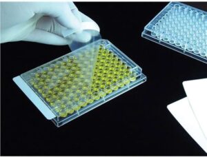 Bio-based Sealant Films Market Share Analysis