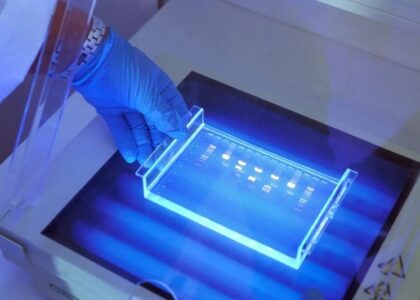Capillary Electrophoresis Market