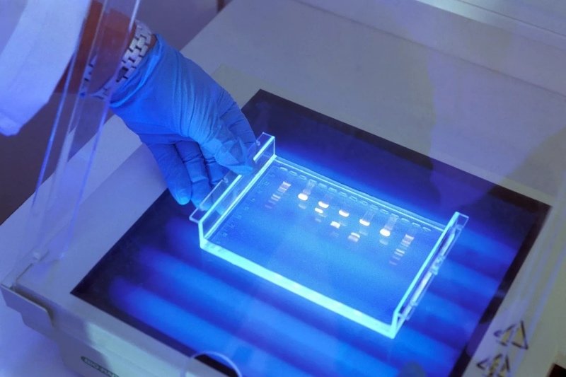 Capillary Electrophoresis Market